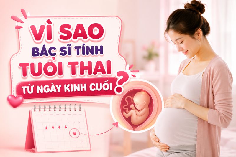 vì sao bác sĩ tính tuổi thai theo kỳ kinh cuối